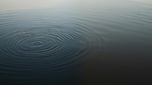 Minimalist nature photograph A still pond with gentle ripples naturally settling toward perfect calm surface. One side shows recent disturbance hand just withdrawn from frame creating waves oth 1