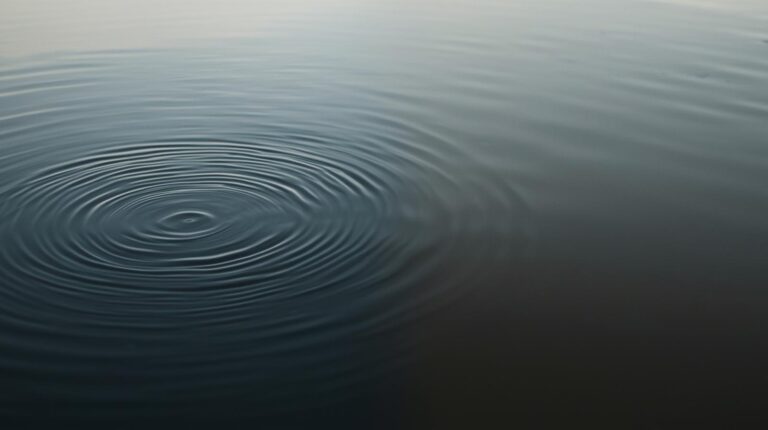 Minimalist nature photograph A still pond with gentle ripples naturally settling toward perfect calm surface. One side shows recent disturbance hand just withdrawn from frame creating waves oth 1